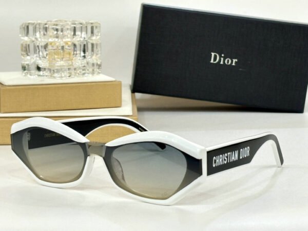 DIOR墨镜1
