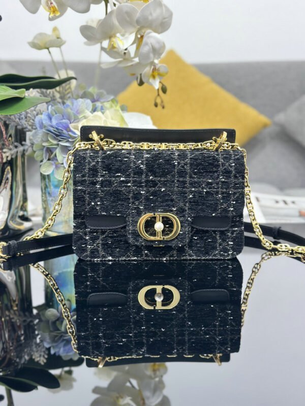 DIOR bag