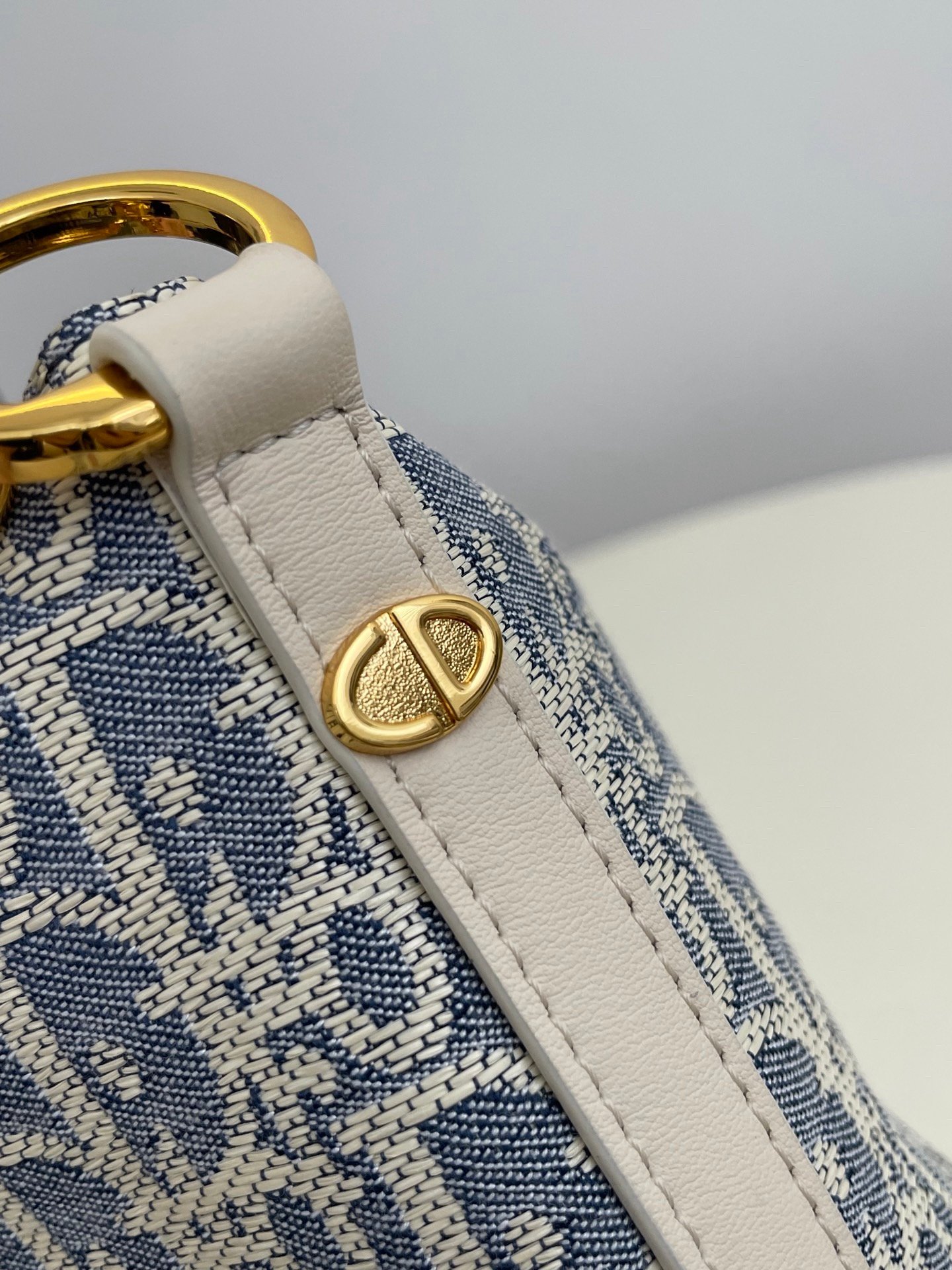 dior Hobo - Image 4